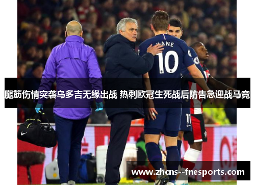 腿筋伤情突袭乌多吉无缘出战 热刺欧冠生死战后防告急迎战马竞 腿筋伤情突袭乌多吉无缘出战 热刺欧冠生死战后防告急迎战马竞