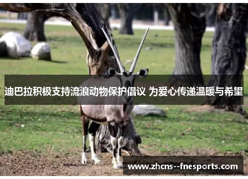 迪巴拉积极支持流浪动物保护倡议 为爱心传递温暖与希望